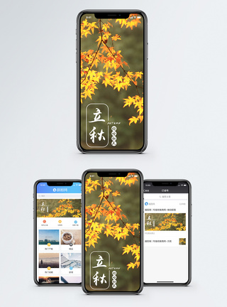 秋天的树枝立秋手机海报配图模板