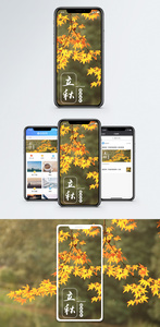 立秋手机海报配图图片