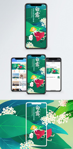白露手机海报配图图片