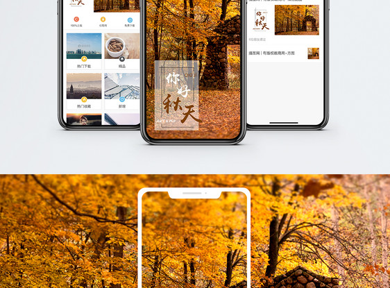 你好秋天手机海报配图图片