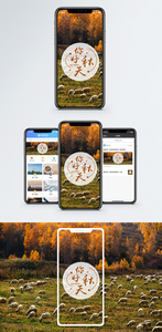 秋天手机海报配图图片