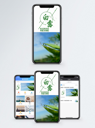 白露手机海报配图图片