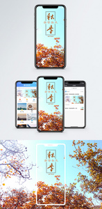 秋季手机海报配图图片