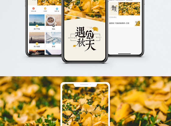 遇见秋天手机海报配图图片