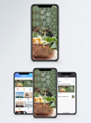 秋天果实春华秋实手机海报配图模板