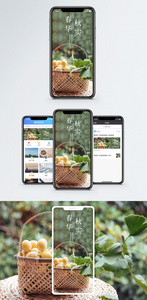 春华秋实手机海报配图图片