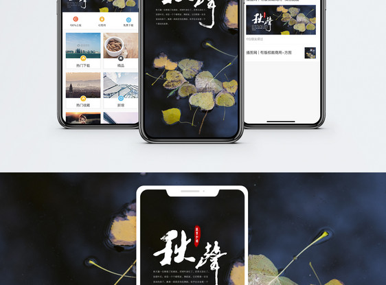 落叶知秋手机海报配图图片