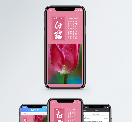 白露手机海报配图图片