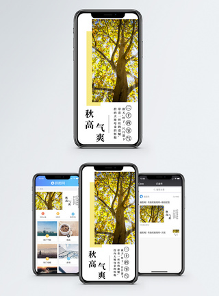 秋高气爽手机海报配图图片