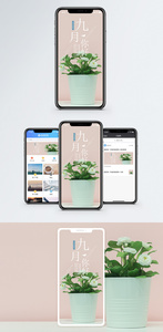 你好九月手机海报配图图片