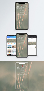 秋分手机海报配图图片