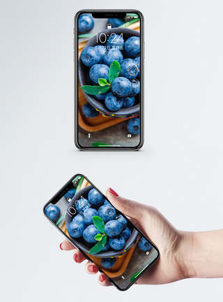 水果详情精品蓝莓手机壁纸模板