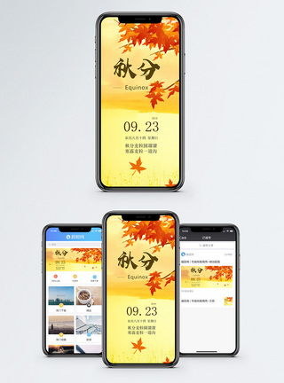 秋分中国风秋分手机海报配图模板