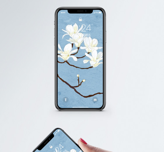 玉兰花手机壁纸图片