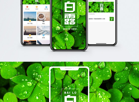 白露手机海报配图图片