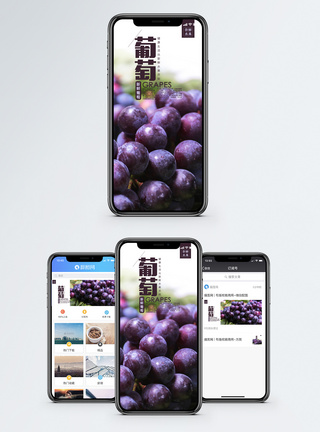 葡萄手机海报配图图片