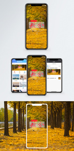 秋分手机海报配图图片