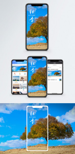 秋季手机海报配图图片
