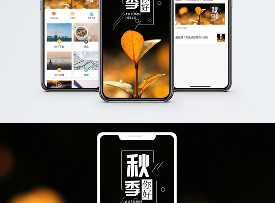 秋季手机海报配图图片