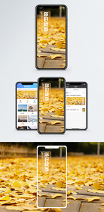 秋季手机海报配图图片