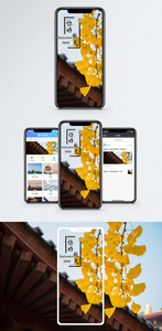 秋季手机海报配图图片