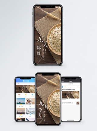 谷物燕麦九月你好手机海报配图模板