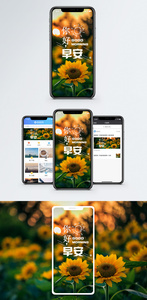 早安手机海报配图图片