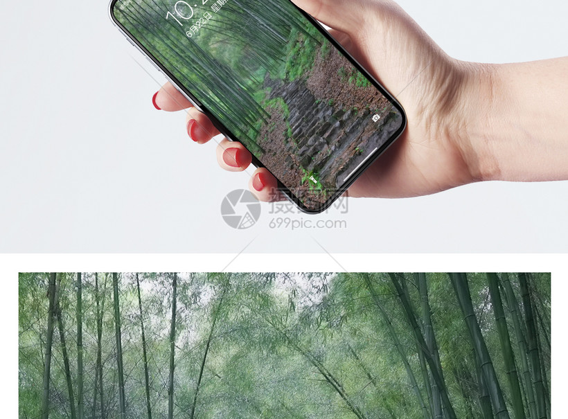 竹林手机壁纸模板素材 正版图片 摄图网 竹林手机壁纸模板素材 正版图片 摄图网