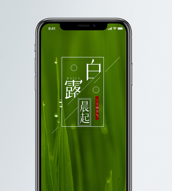 白露手机海报配图图片