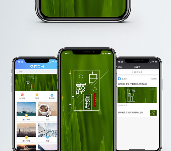 白露手机海报配图图片