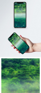森林手机壁纸图片