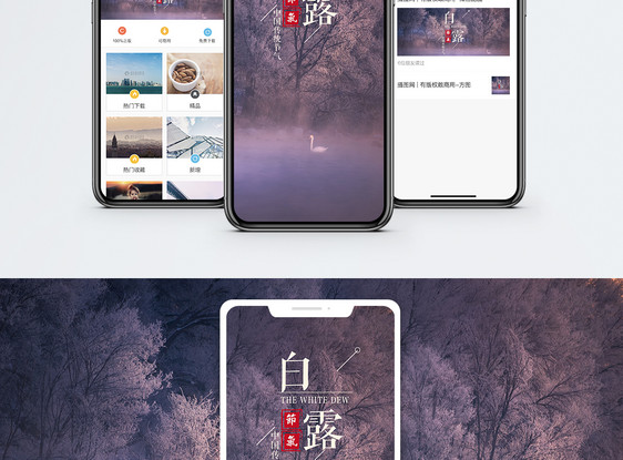 白露手机海报配图图片