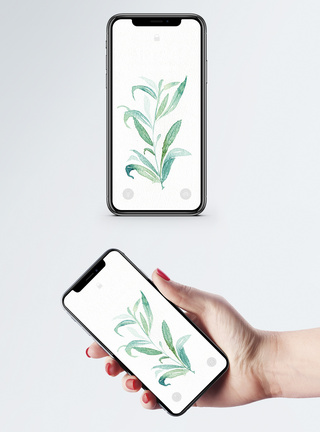 小清新植物手机壁纸图片