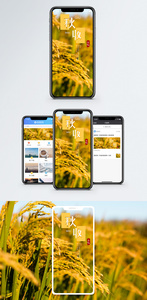 秋收手机海报配图图片