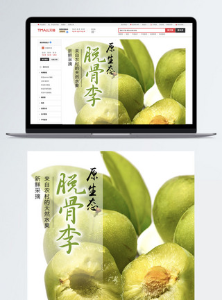 新鲜李子水果食品详情PSD模板图片