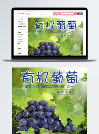 有机葡萄水果详情PSD模板图片