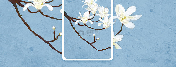 花卉手机海报配图图片