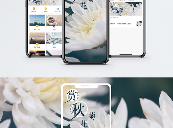 赏秋手机海报配图图片