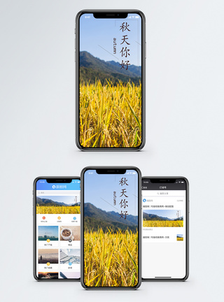 秋天手机海报配图图片