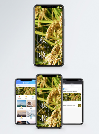 秋收手机海报配图图片