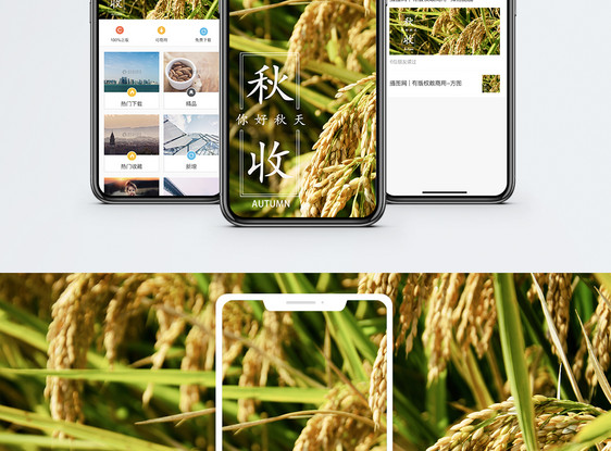 秋收手机海报配图图片