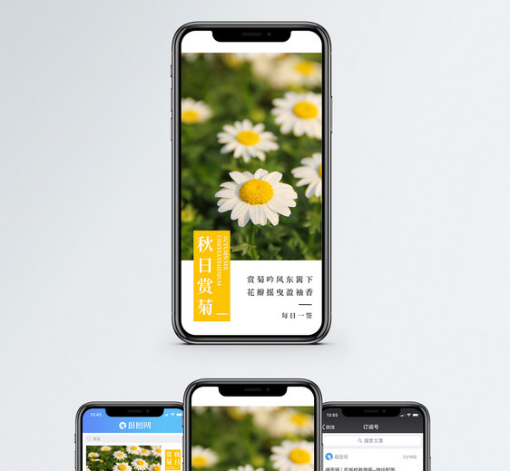 秋日菊花手机海报配图图片