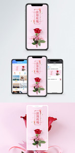 浪漫玫瑰手机海报配图图片