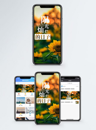 阳光灿烂手机海报配图图片