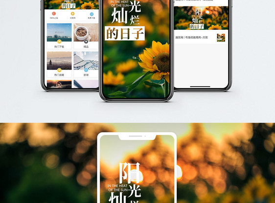 阳光灿烂手机海报配图图片
