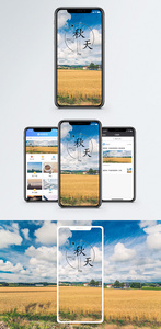 秋天手机海报配图图片