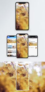 秋日手机海报配图图片