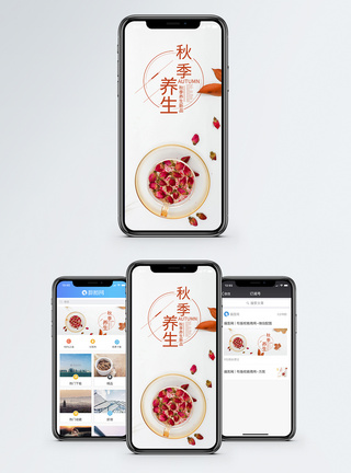养生花茶手机海报配图图片