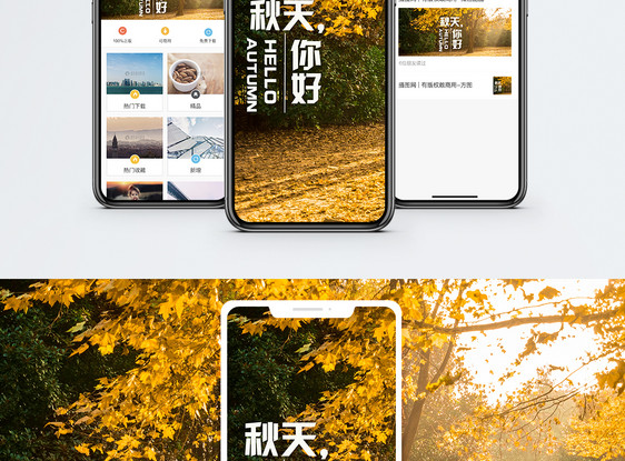 秋天手机海报配图图片