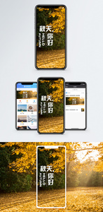 秋天手机海报配图图片